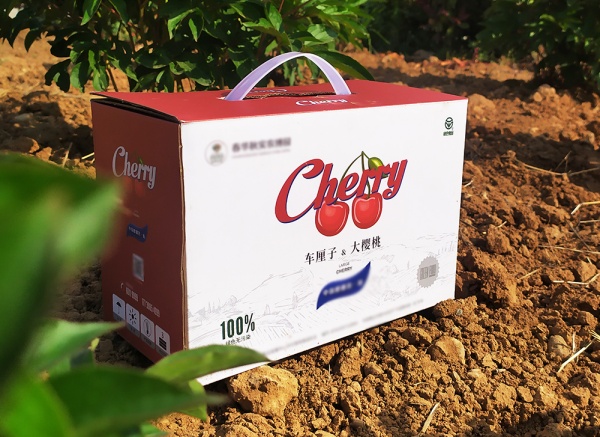 櫻桃、車?yán)遄佣Y盒