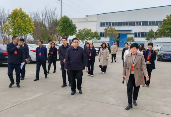 宜陽(yáng)縣人大代表一行蒞臨中侖包裝